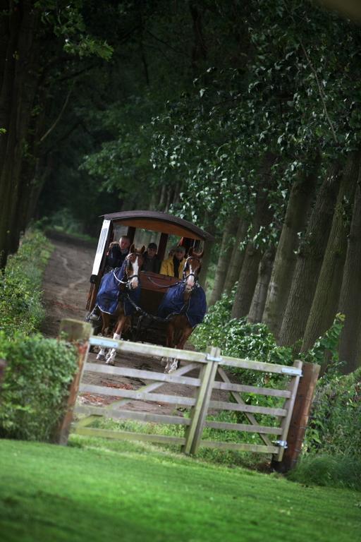 15 Inn Mol Bagian luar foto